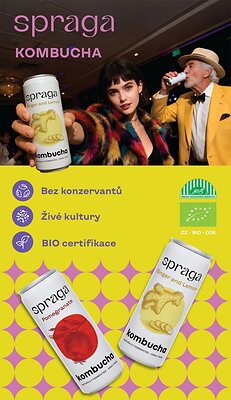 akční leták Lidl 22.12.2025-24.12.2025