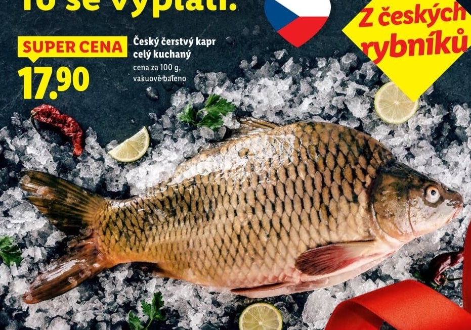 Kapr kuchaný