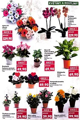 akční leták Kaufland 27.12.2025-31.12.2025