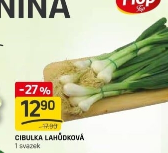 Jarní cibule svazek