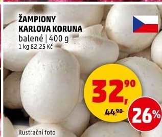 Žampiony Karlova Koruna