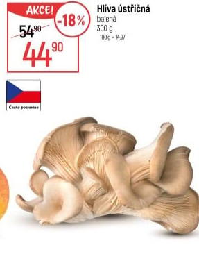 Hlíva ústřičná