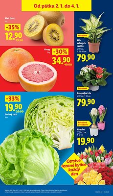 akční leták Lidl 2.1.2025-4.1.2025
