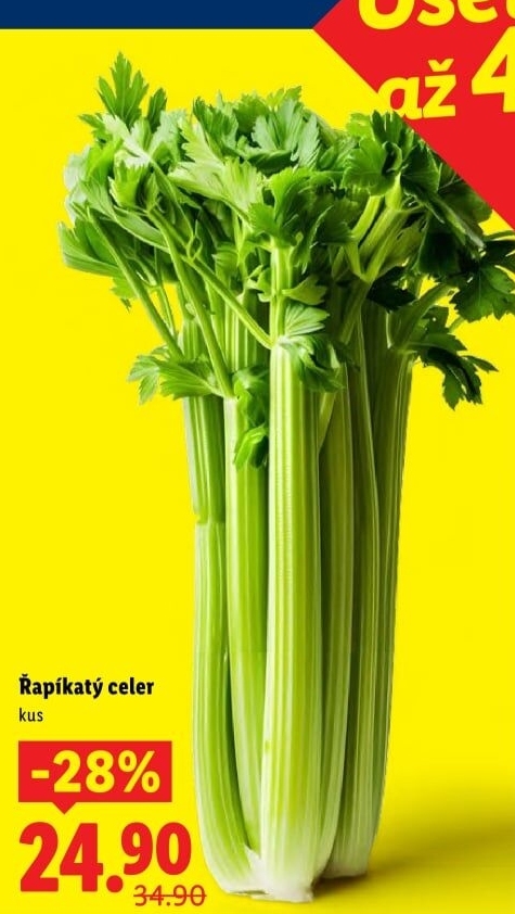 Celer řapíkatý
