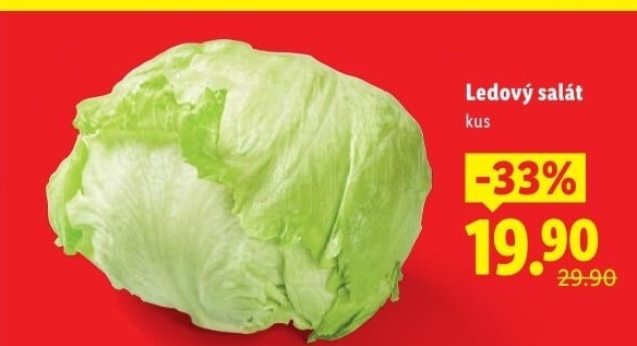 Salát ledový