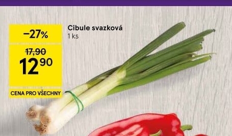 Jarní cibule svazek