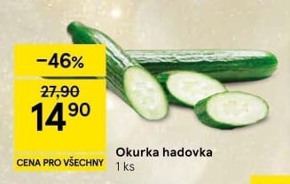 Okurka salátová - hadovka