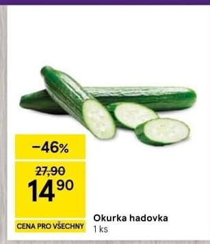 Okurka salátová - hadovka