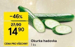 Okurka salátová - hadovka