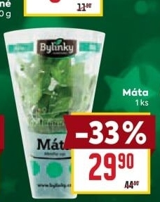 Bylinky v květináči Bylinky s.r.o.