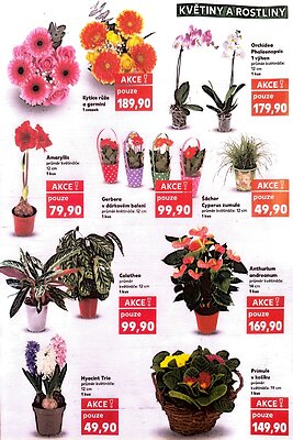 akční leták Kaufland 2.1.2026-6.1.2026