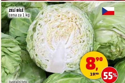 Zelí hlávkové bílé