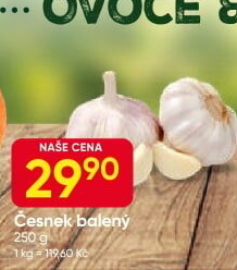 Česnek