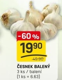 Česnek