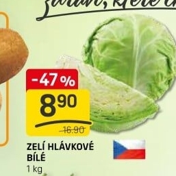 Zelí hlávkové bílé
