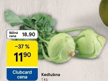 Kedlubna bílá