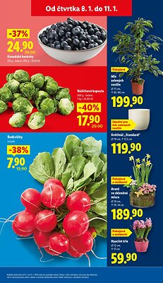 akční leták Lidl 8.1.2026-11.1.2026