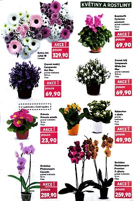 akční leták Kaufland 7.1.2026-13.1.2026
