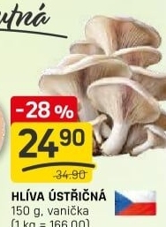 Hlíva ústřičná