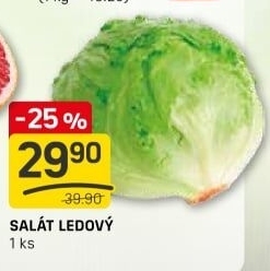 Salát ledový