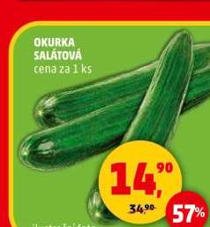 Okurka salátová - hadovka