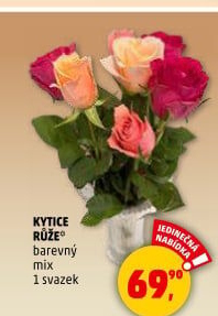 Řezané růže