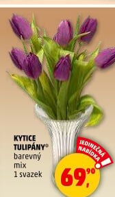 Řezané tulipány