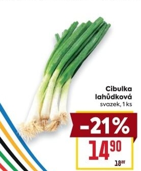 Jarní cibule svazek