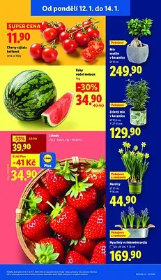 akční leták Lidl 12.1.2026-14.1.2026