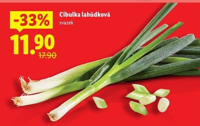Jarní cibule svazek