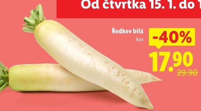 Ředkev bílá