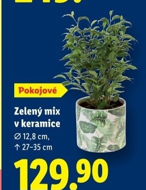 Mix zelených rostlin