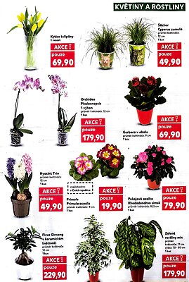 akční leták Kaufland 14.1.2026-20.1.2026