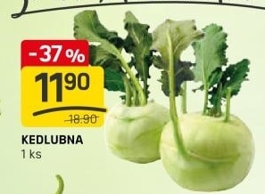 Kedlubny
