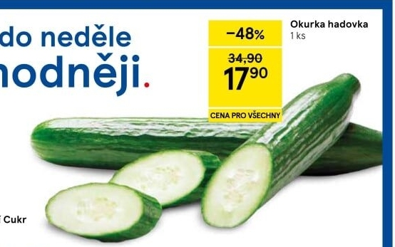 Okurka salátová - hadovka