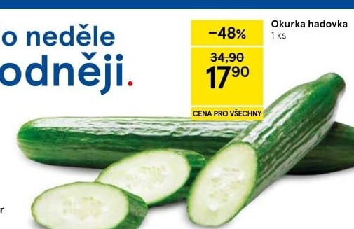 Okurka salátová - hadovka