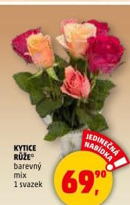 Řezané růže