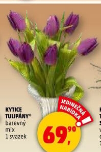 Řezané tulipány