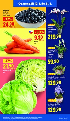akční leták Lidl 19.1.2026-21.1.2026