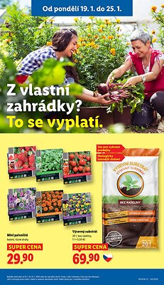 akční leták Lidl 19.1.2026-21.1.2026