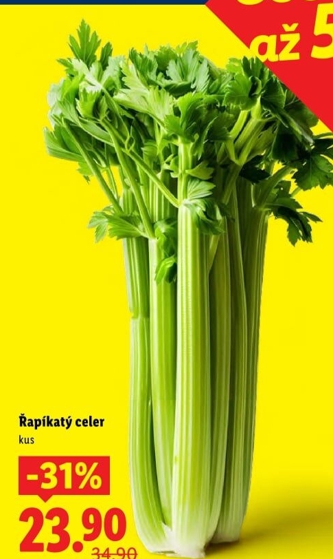 Celer řapíkatý