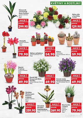 akční leták Kaufland 21.1.2026-27.1.2026