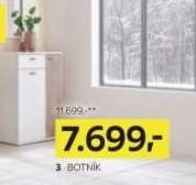 BOTNÍK
