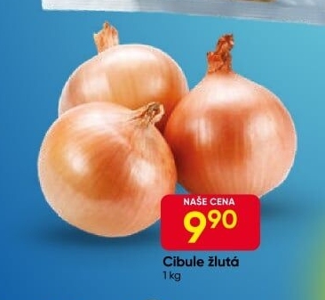 Cibule kuchyňská žlutá