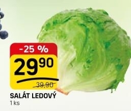 Salát ledový