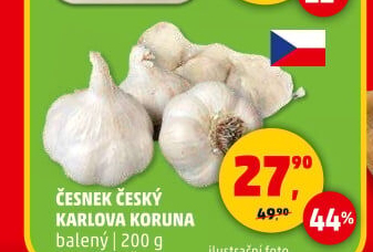 Česnek český Karlova Koruna