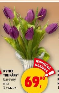Řezané tulipány