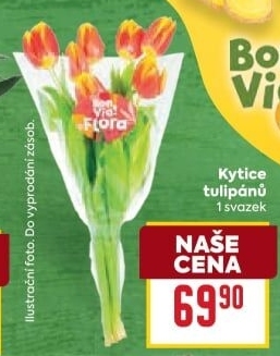 Řezané tulipány Flora Billa Bonvia