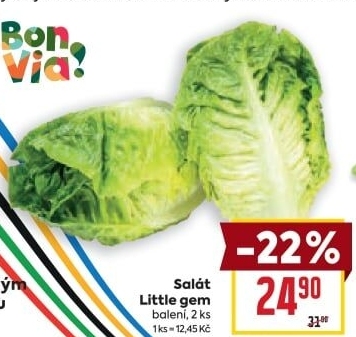 Salát little gem Billa Bonvia