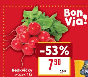 Ředkvičky svazek Billa Bonvia